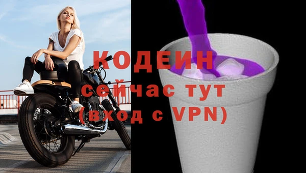 сатива Лабытнанги