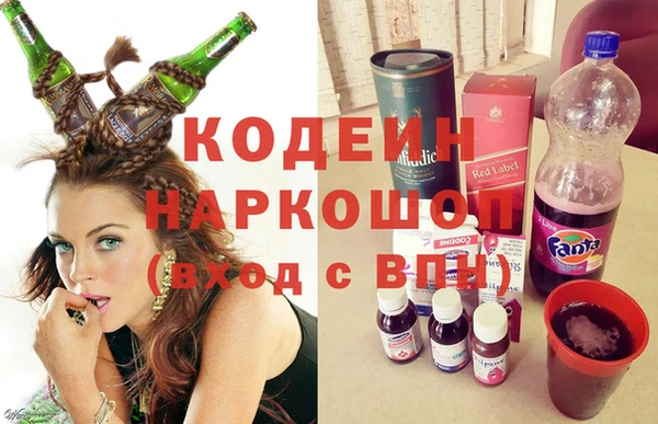 сатива Лабытнанги