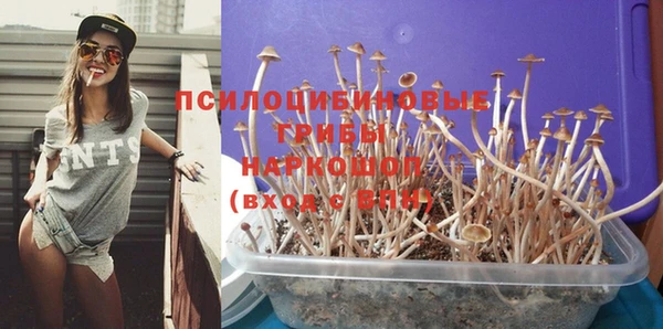 мдпв Лагань