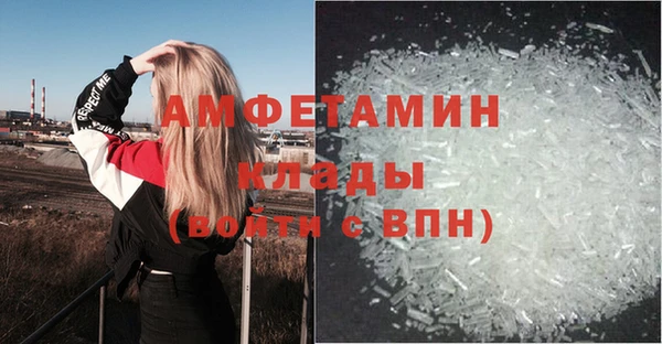 мдпв Лагань