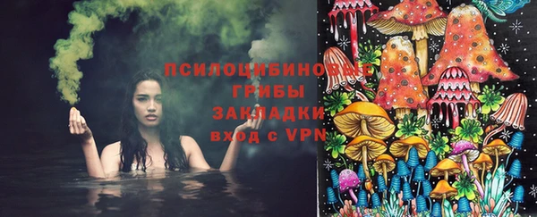 мдпв Лагань