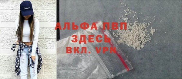 сатива Лабытнанги