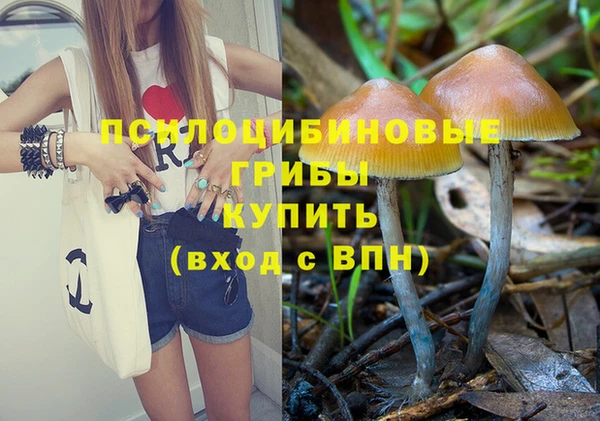 мдпв Лагань