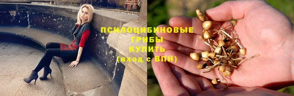 трава Ладушкин