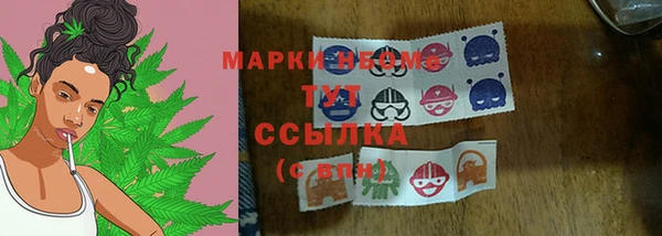 сатива Лабытнанги